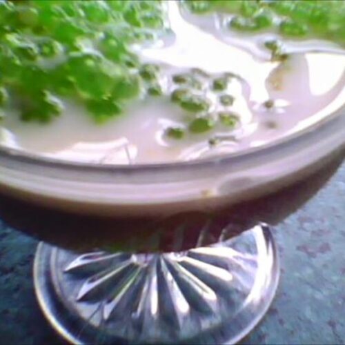 Puding Kastard/Sago Gula Melaka